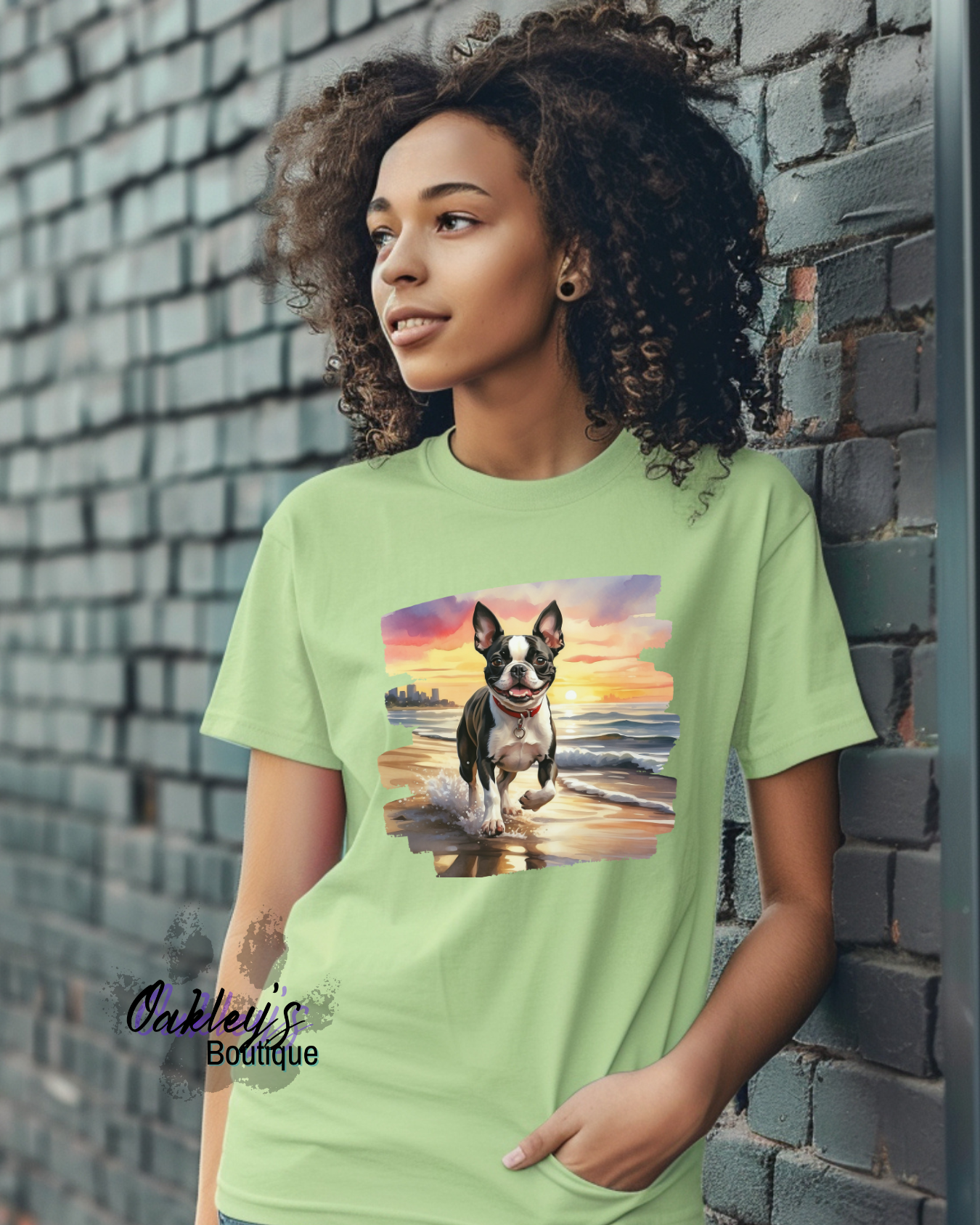 Boston terrier collection