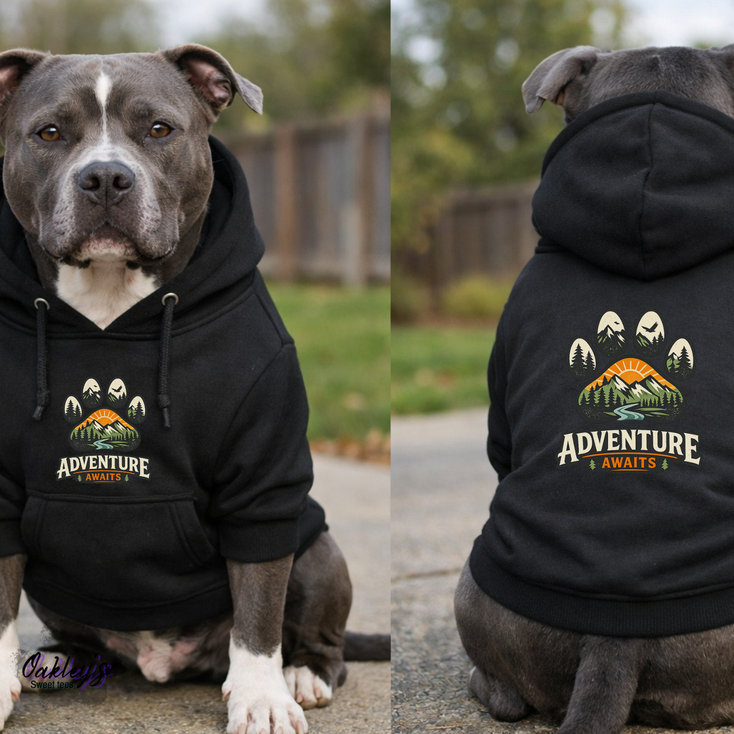 Adventure awaits mountain scape hoodie