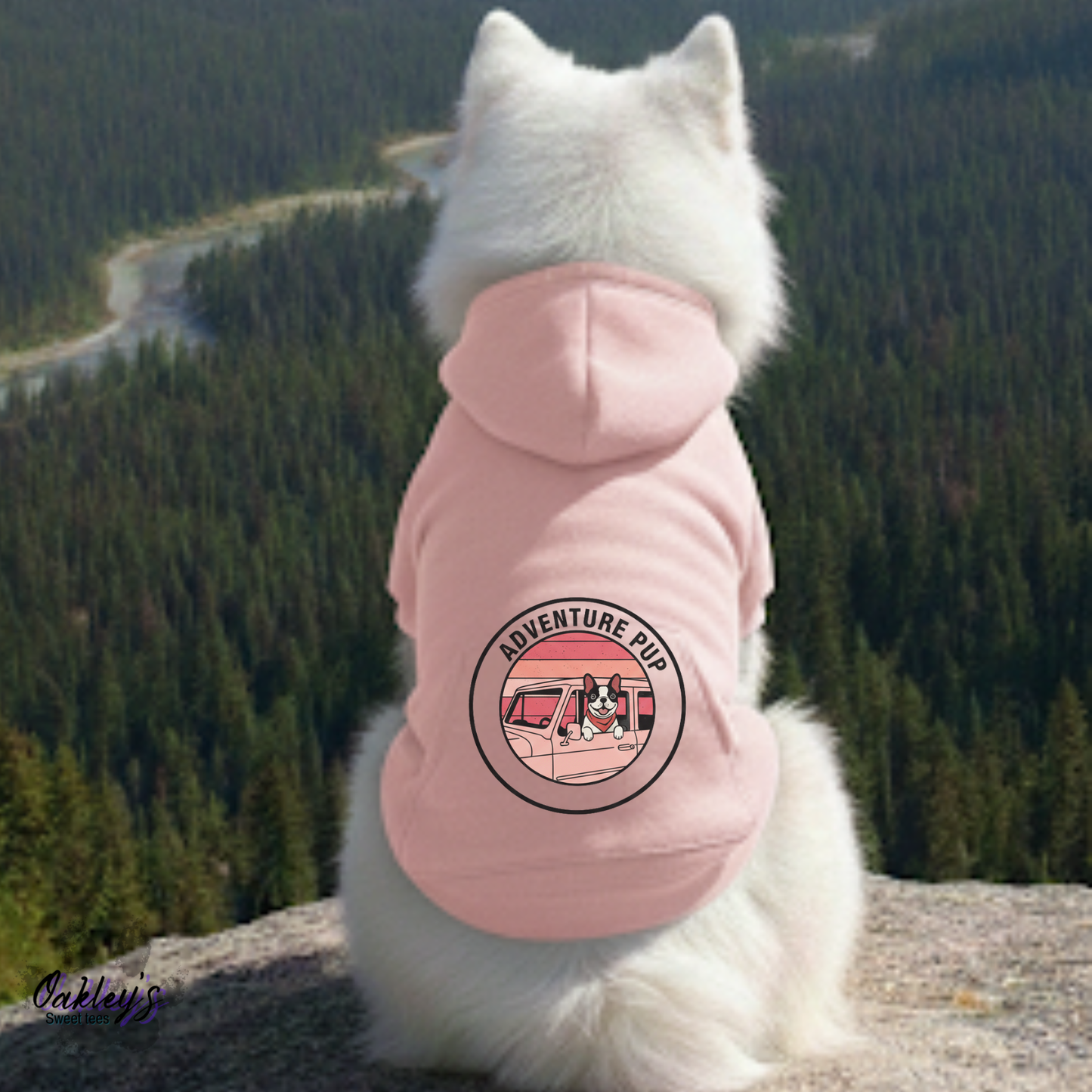 Adventure pup2 hoodie