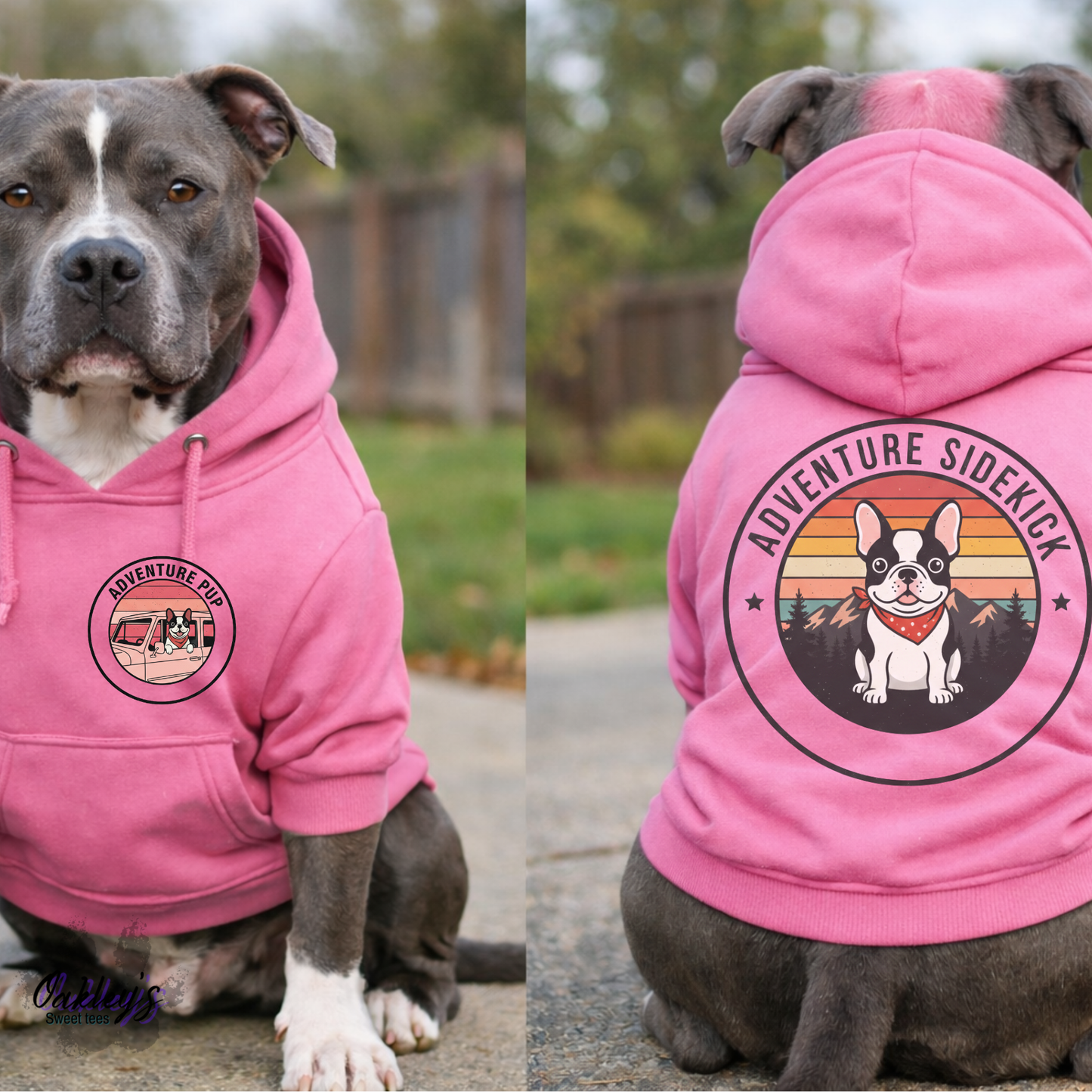 Adventure pup hoodie