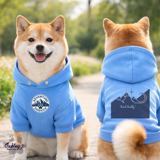 Adventure sidekick hoodie