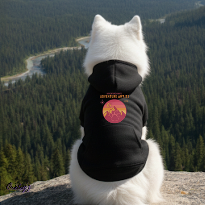 Adventure awaits hoodie