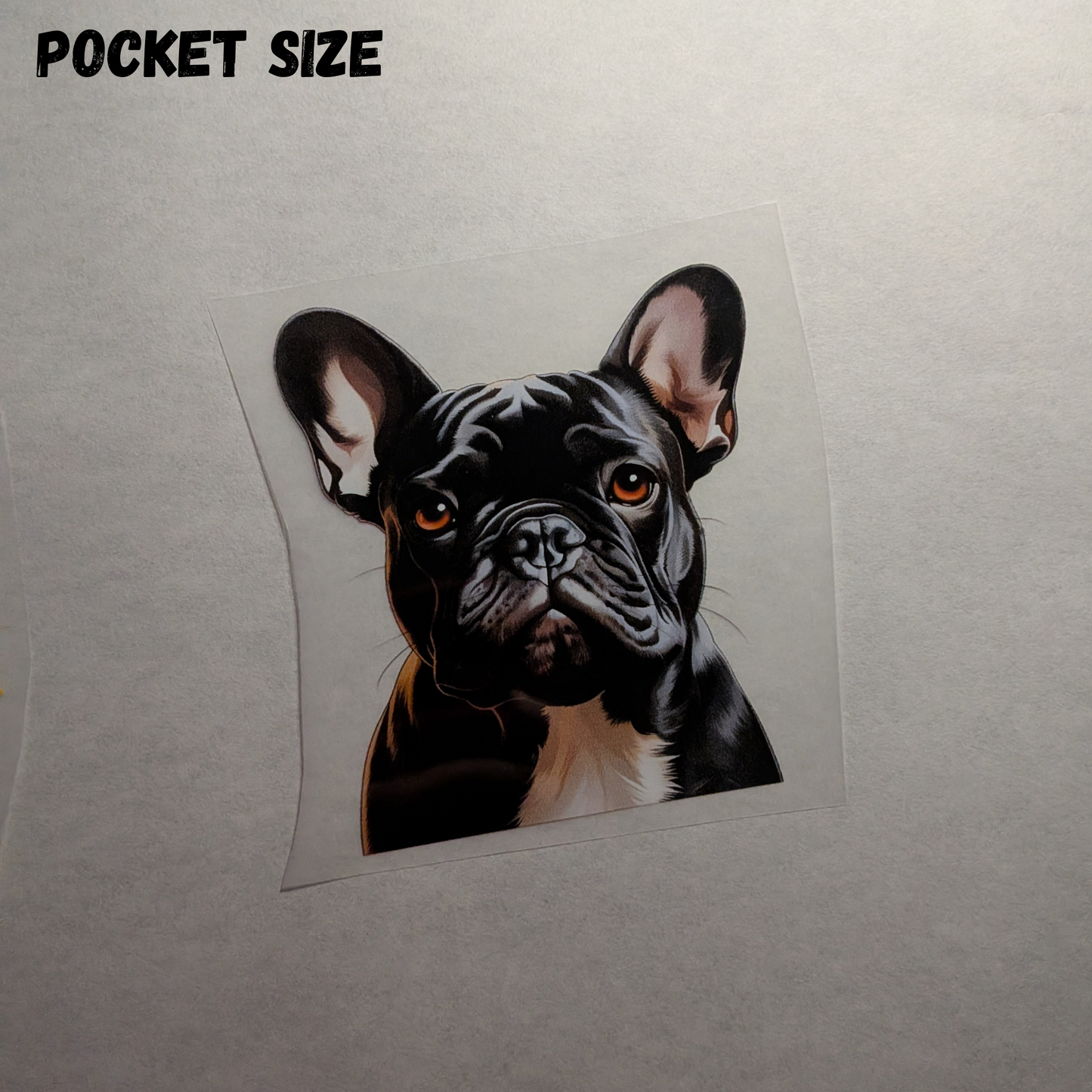Black Frenchie - ready made print - Tshirt Pocket size design