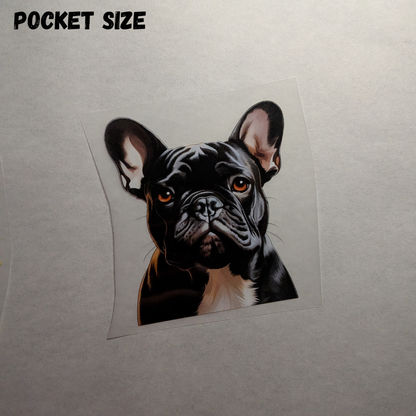 Black Frenchie - ready made print - Tshirt Pocket size design