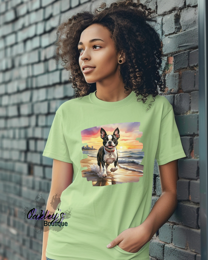 Boston at the beach t-shirt