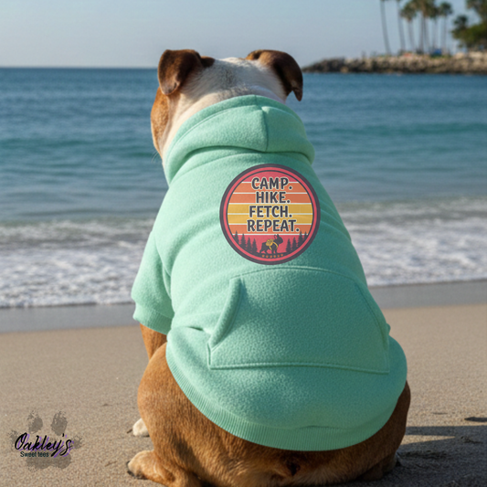 Camp hike fetch repeat hoodie