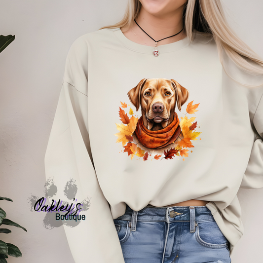Chesapeake Bay retriever | Crew neck
