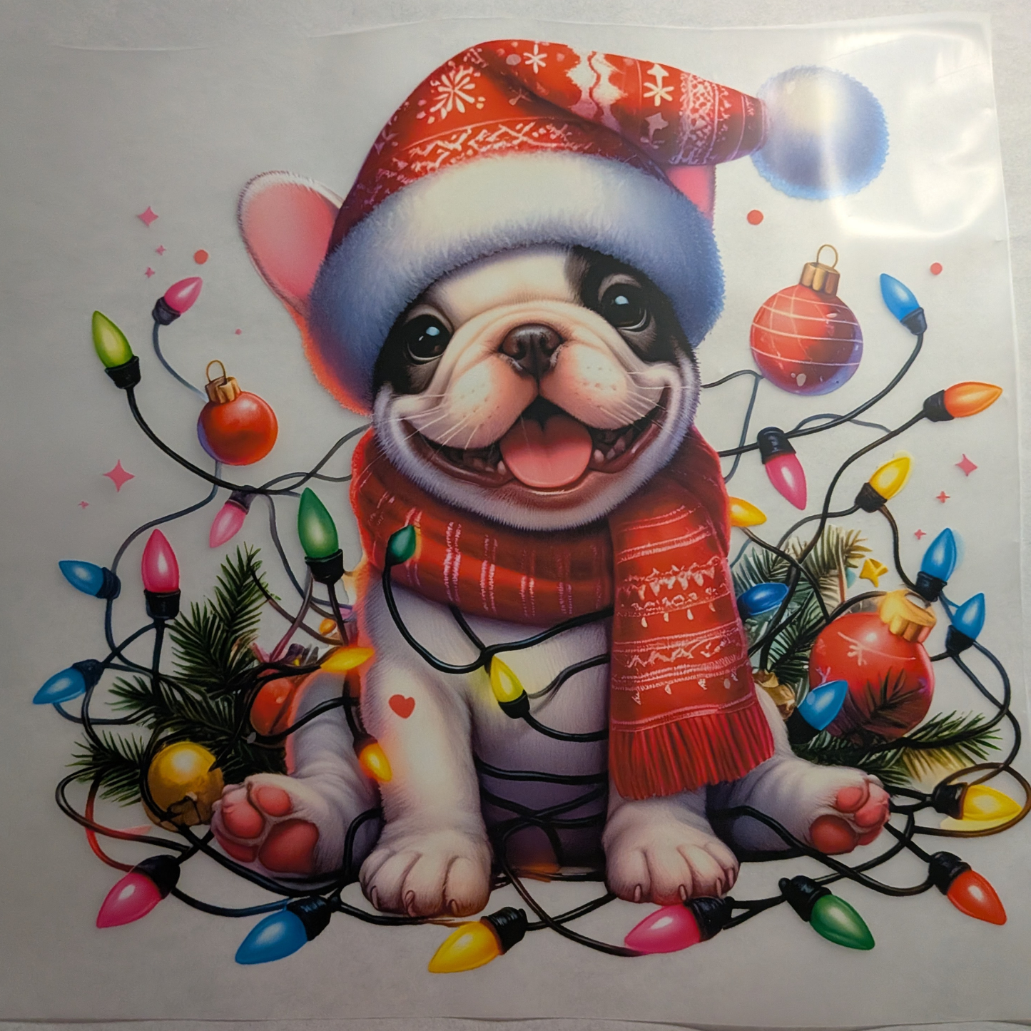 Festive Frenchie wrapped in lights : Ready made print T-shirt
