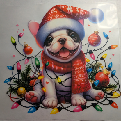 Festive Frenchie wrapped in lights : Ready made print T-shirt