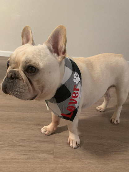 Pet bandanas