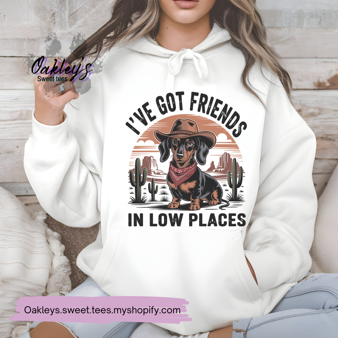 I've got friends in low places | hoodie