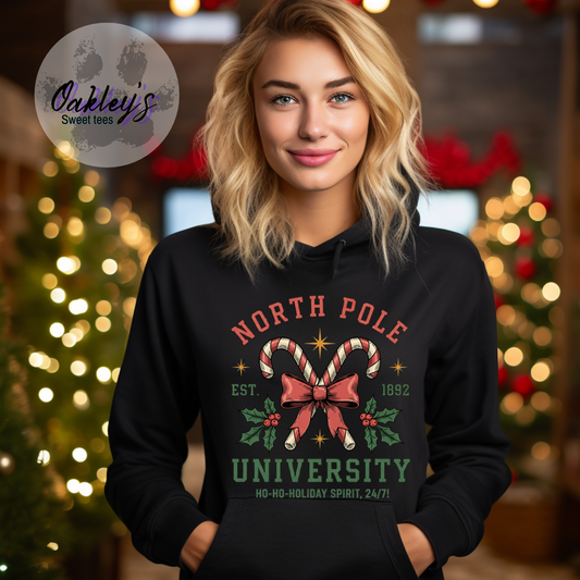 North Pole University | hoodie