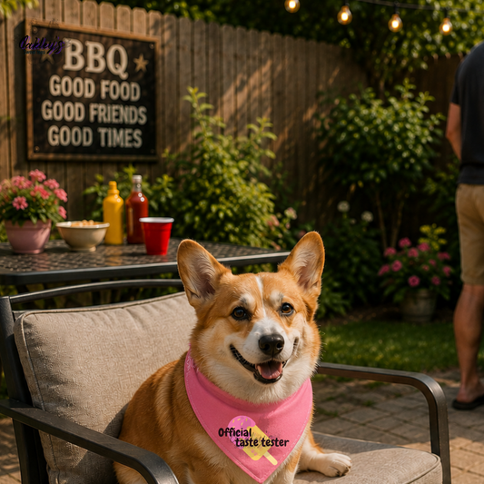 Official taste tester (popsicle) bandana | Summer pup collection