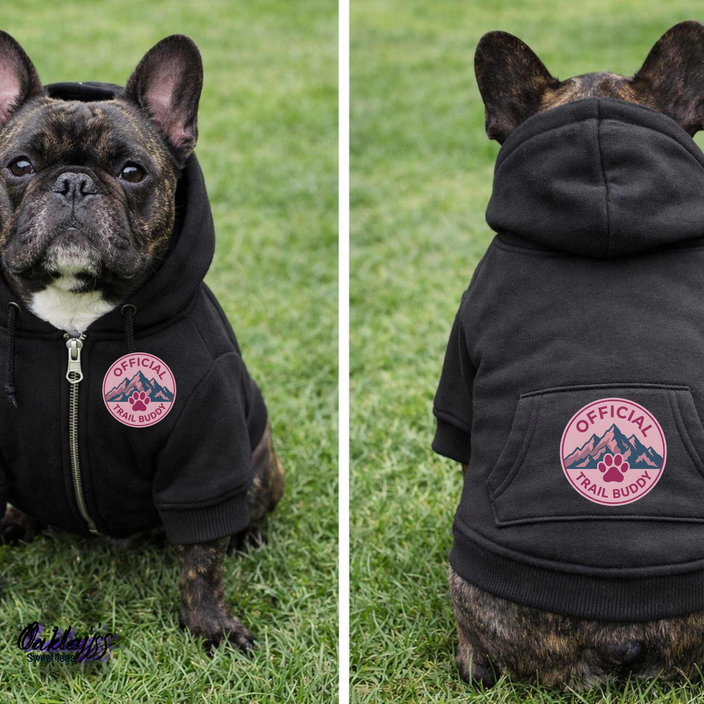 Official trail buddy hoodie