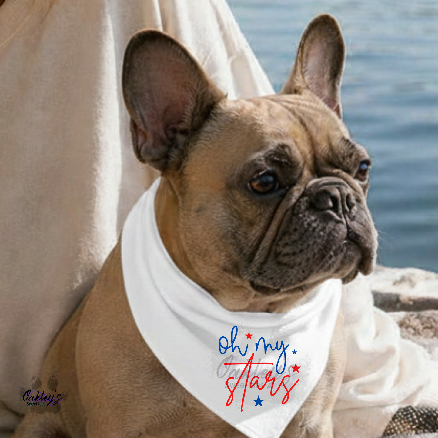 Oh my stars bandana | 4th of July