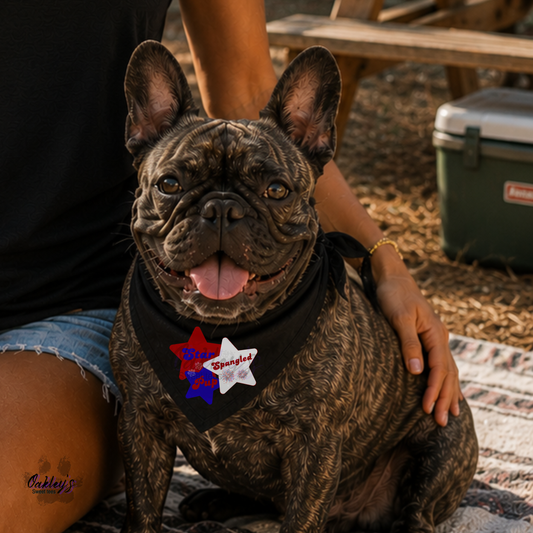 Star spangled pup bandana | 4th of July