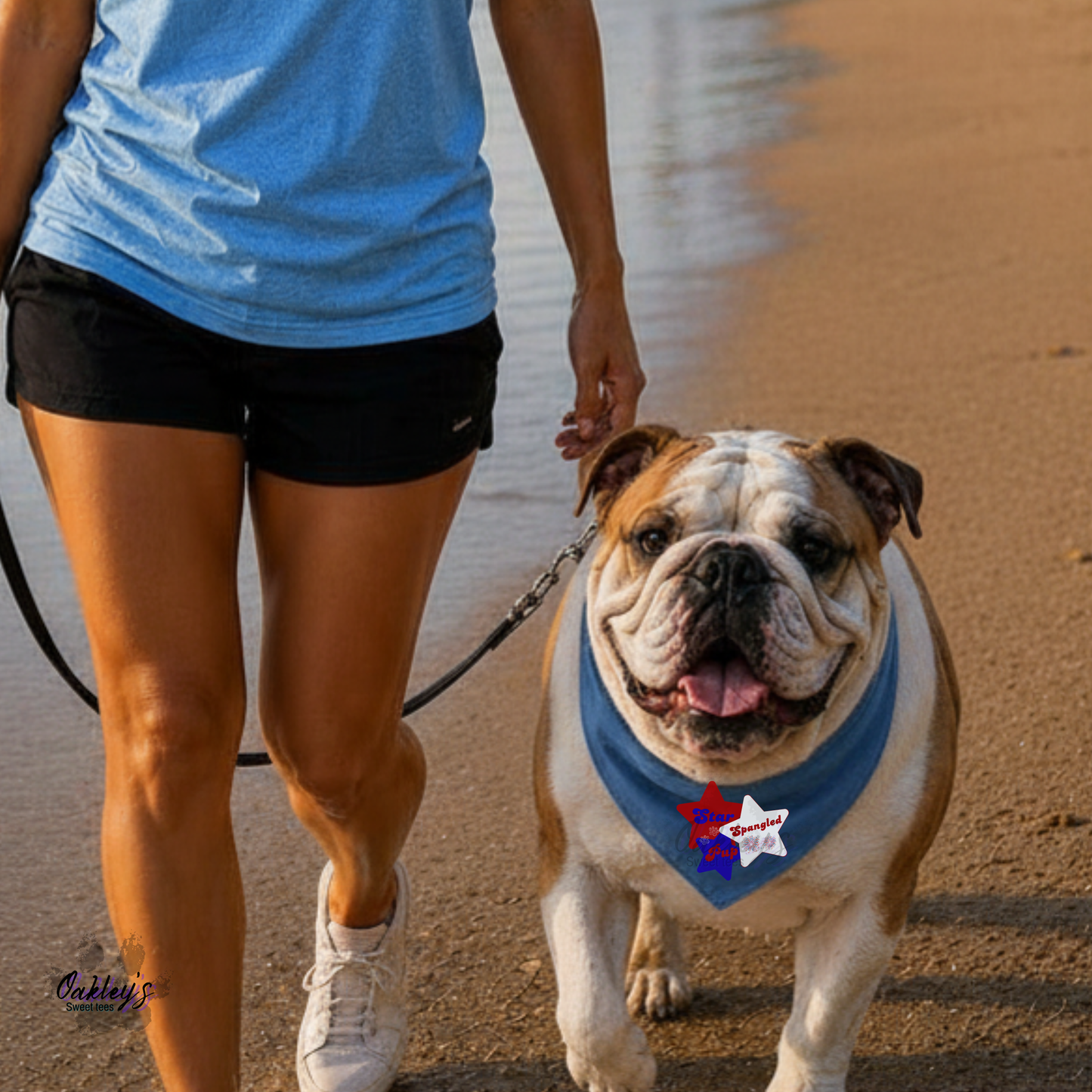 Star spangled pup bandana | 4th of July