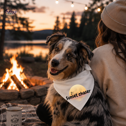 Sunset chaser (lake) bandana | Summer pup collection