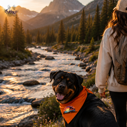 Sunset chaser bandana | Summer pup collection